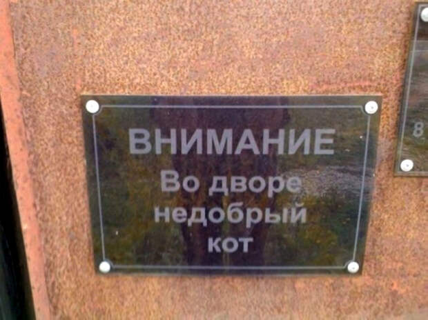 Заметьте, недобрый - это мягко сказано! Заметьте, недобрый - это мягко сказано!