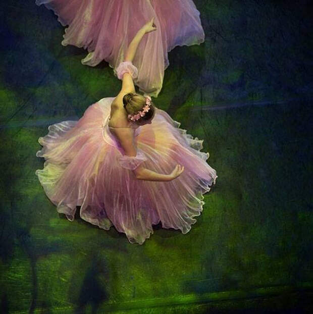 Mark Olich Ballet photography (68) (550x552, 202Kb)