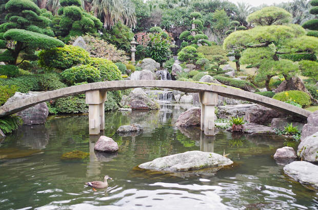 сад Amami No Sato в Японии