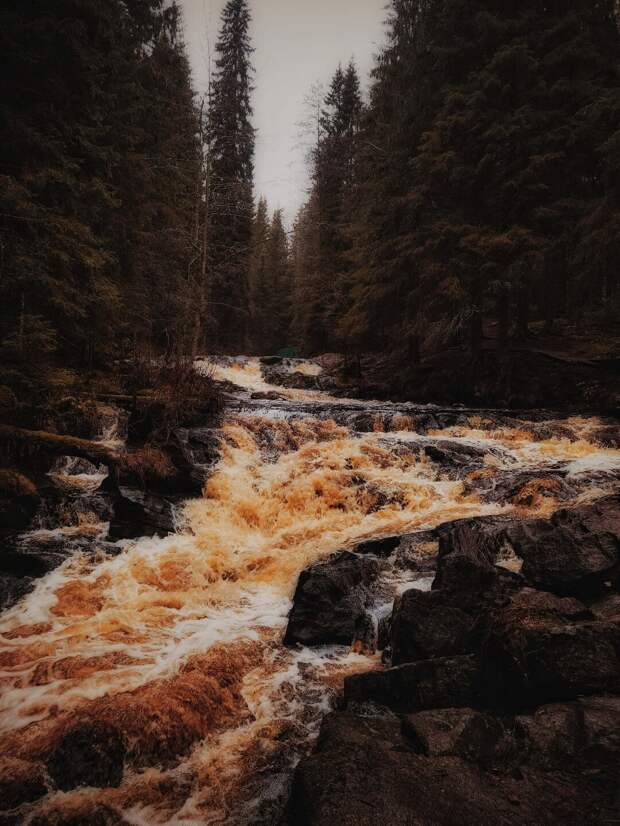 Карелия долина зайцев фото