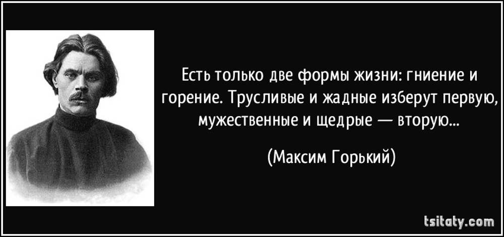 Подлецы высказывания. Высказывания писателей о равнодушии. Живи цитаты писателей. Есть две формы жизни гниение и горение. Высказывания Горького о любви.