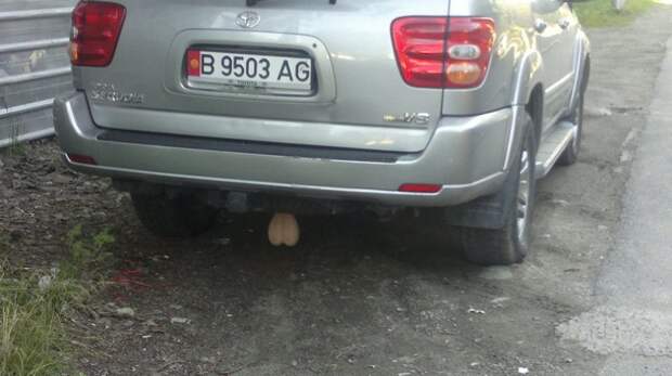 авто-тема_57