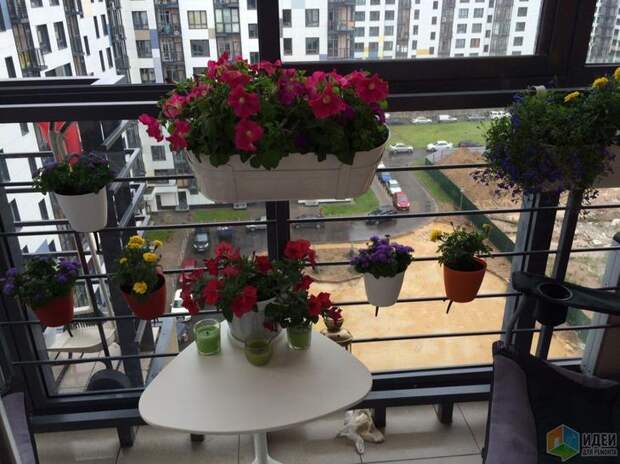 Уютный балкон фото, цветы на балконе