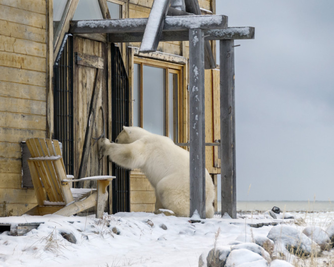 Фотоподборка за 20.02.2015 интересное, фото