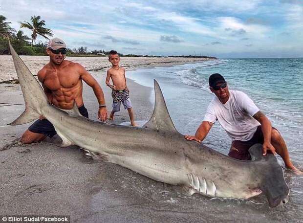 Американец поймал огромную акулу-молот. Но в центре внимания оказался далеко не улов! акула, акула молот, вирусные фото, рыбак, рыбалка, рыбы, спортсмен, фото