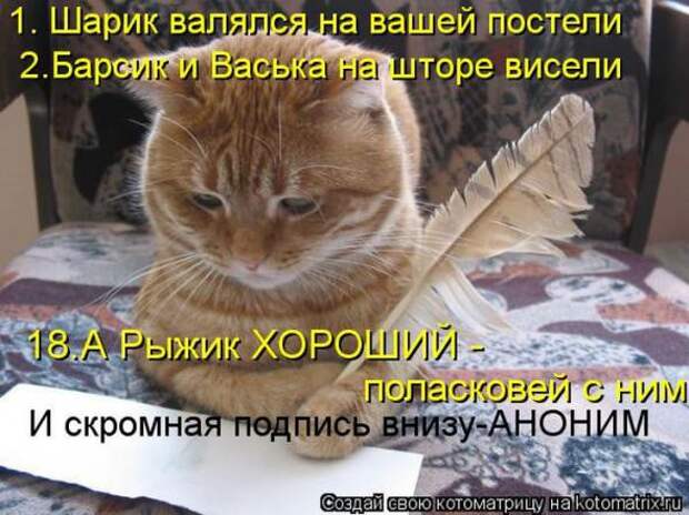 Котоматрицы (картинки с надписями)