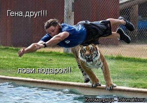 Котоматрицы на первый день весны (18 фото)
