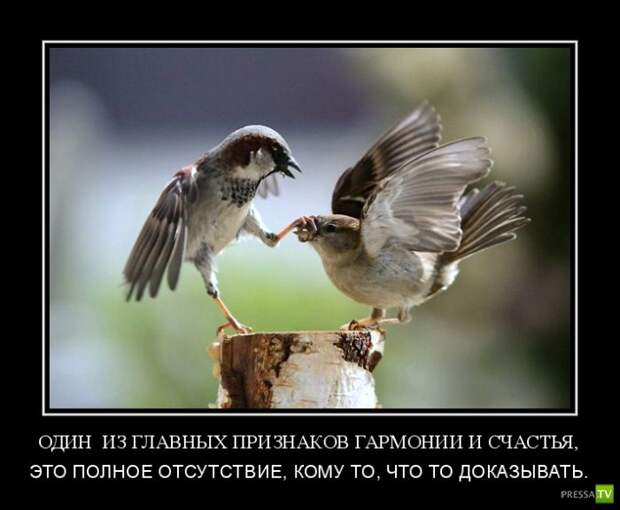 Демотиваторы на июль, часть 15 (29 фото)