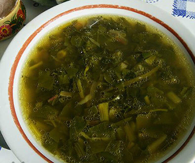 zeleniu-soup-1 (395x331, 146Kb)