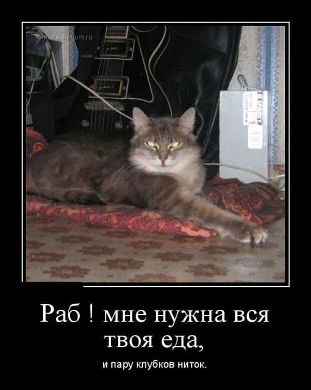 Демотиваторы