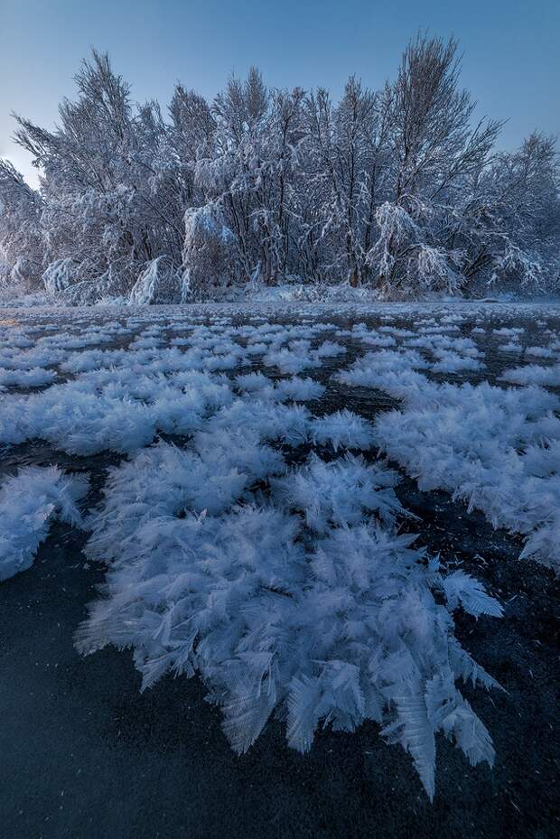 20 лучших фотографий недели лучшие, фото