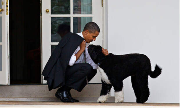 Вооруженный «Иисус Христос» планировал похитить собаку Барака Обамы