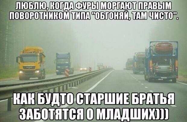 Смешные картинки с надписями прикол, юмор