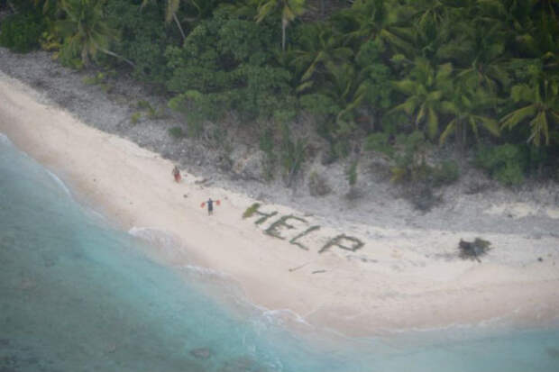 Как спастись с необитаемого острова с помощью пальмовых ветвей