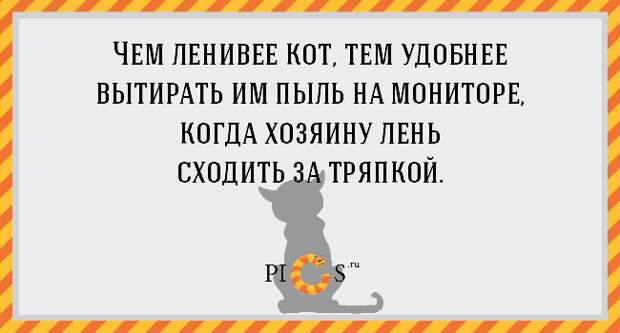 catowner08
