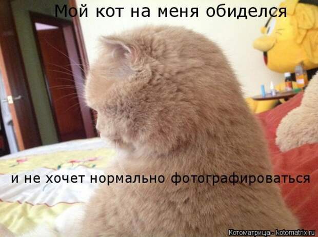 Мысли вслух :) №150118