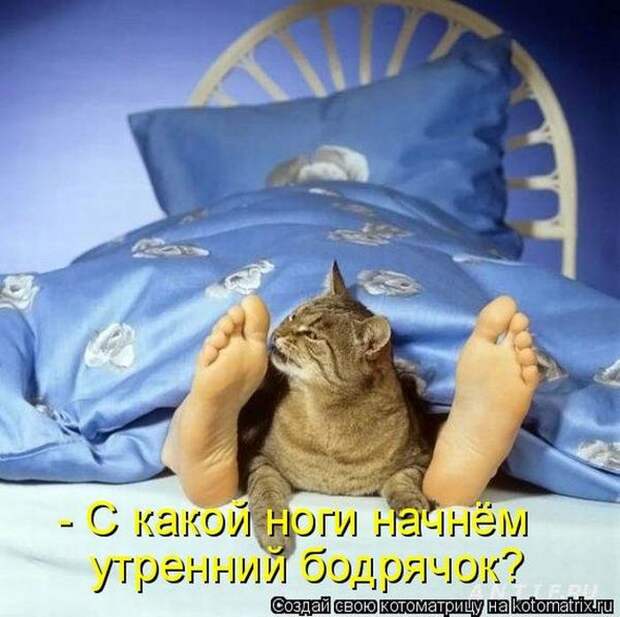 Мысли вслух :)