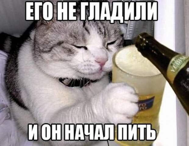 Доза позитива в фото-приколах (42 шт)