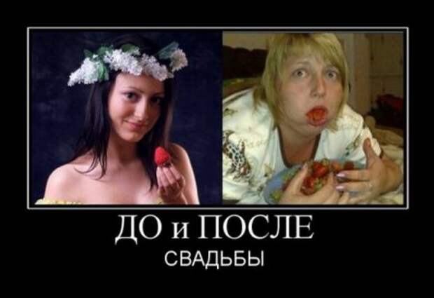 Демотиваторы смешные, юмор в тексте и фото.