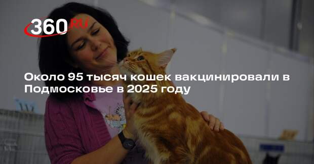 Около 95 тысяч кошек вакцинировали в Подмосковье в 2025 году