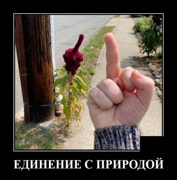 Демотиватор про природу