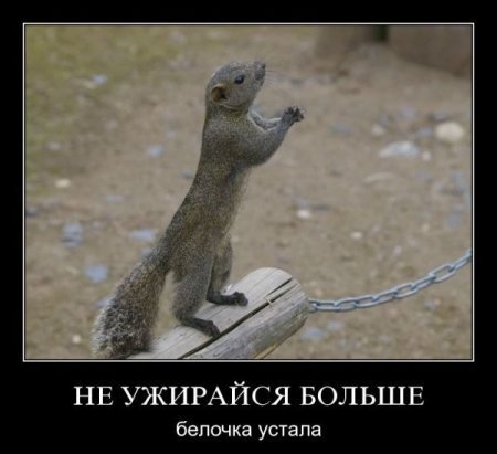 весёлые демки