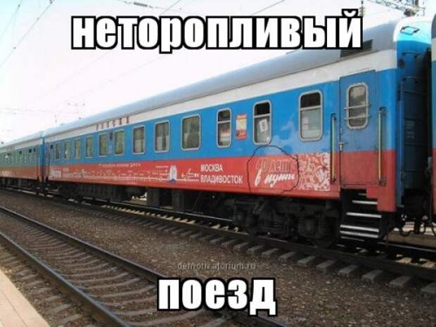 Прикольные фотомемы для хорошего настроения (28 фото)