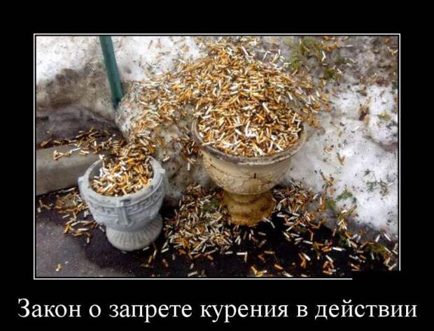 Демотиваторы (30 фото)