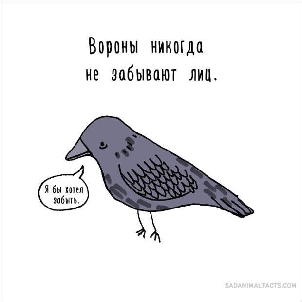 печальные факты о животных 