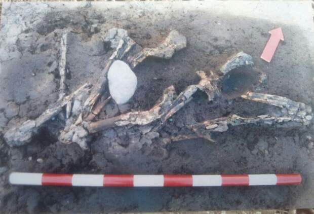 В селении Ногир обнаружили курган эпохи ранней бронзы