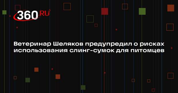 Ветеринар Шеляков предупредил о рисках использования слинг-сумок для питомцев