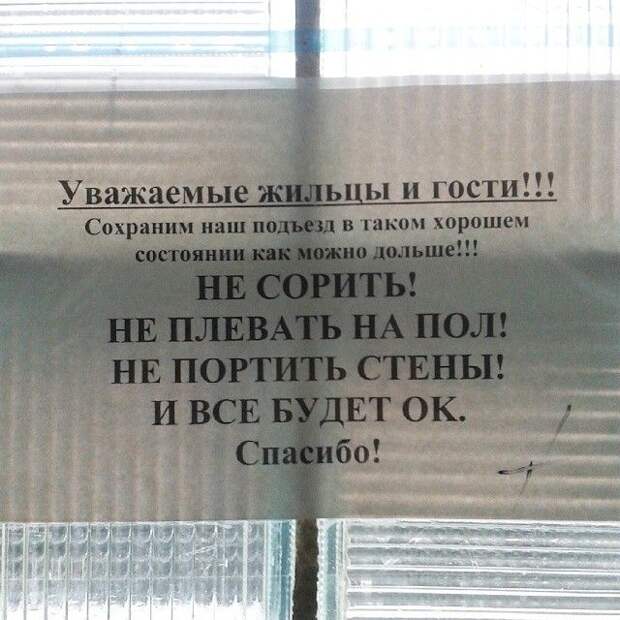 Забавные объявления в наших подъездах (28 фото)