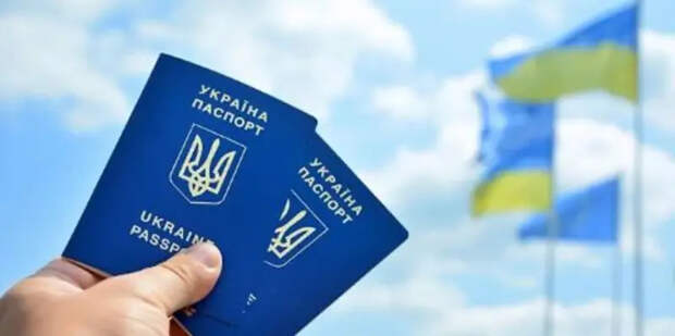 В украинском сегменте интернета уже предлагают за взятку продлить паспорт без посещения военкомата