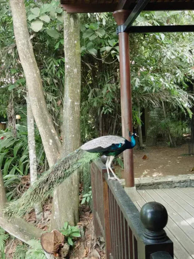 Фото Вани Дмитриенко