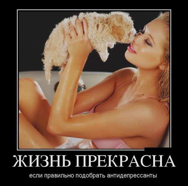 Демотиваторы демотиваторы, прикол, смех, юмор