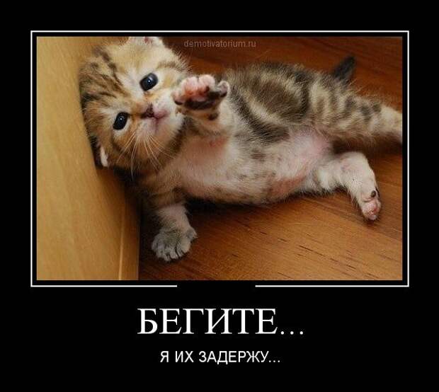 Сборник моих демотиваторов демотиватор, сборник