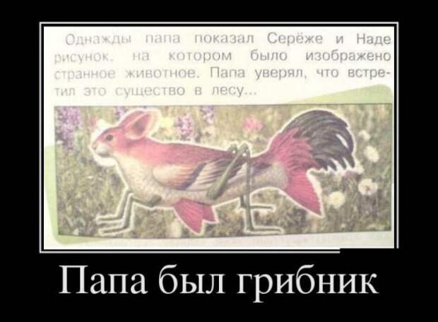 Немного новых демотиваторов