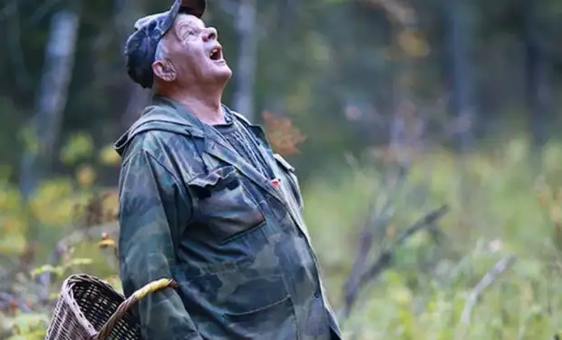 Как не заблудиться в лесу: хитрости егерей