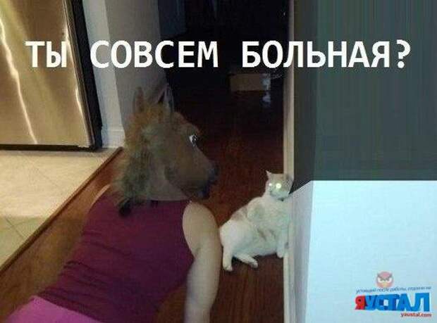 Смешные картинки с надписями прикол, юмор