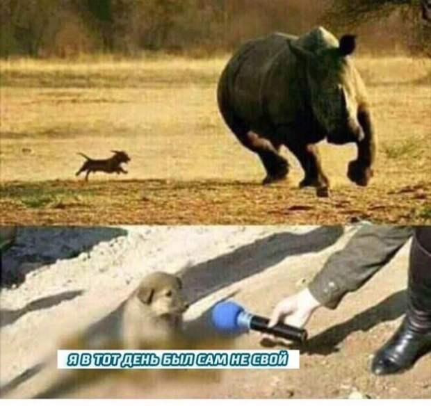 Сам не свой