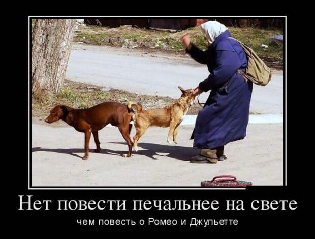 Демотиваторы (30 фото)