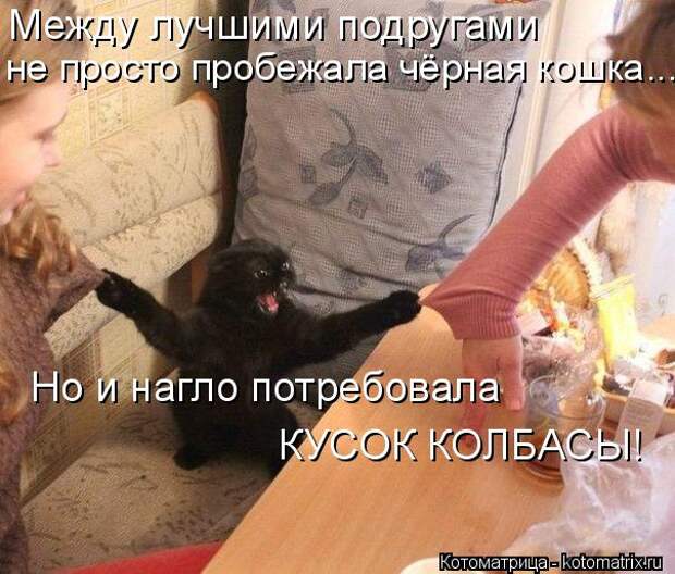 Котоматрица: Между лучшими подругами не просто пробежала чёрная кошка.... Но и нагло потребовала  КУСОК КОЛБАСЫ!