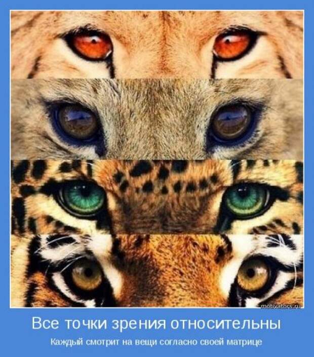 Смотрим, читаем и мотивируемся.