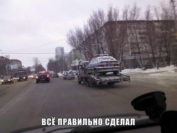 Прикольные картинки (98 фото)