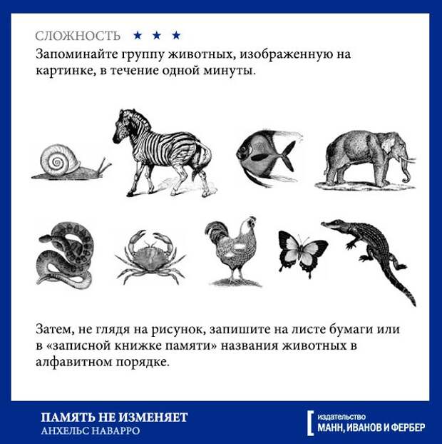 Картинки для развития фотографической памяти