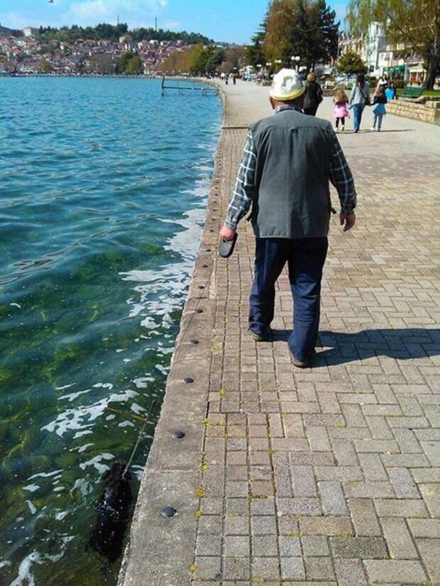 собака утонула