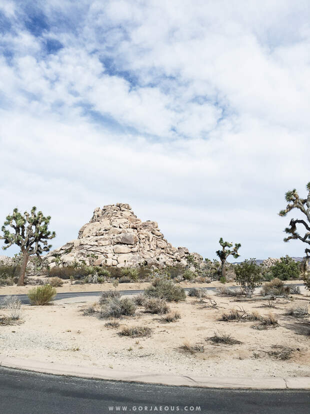 Joshua-Tree-National-Park-11.jpg