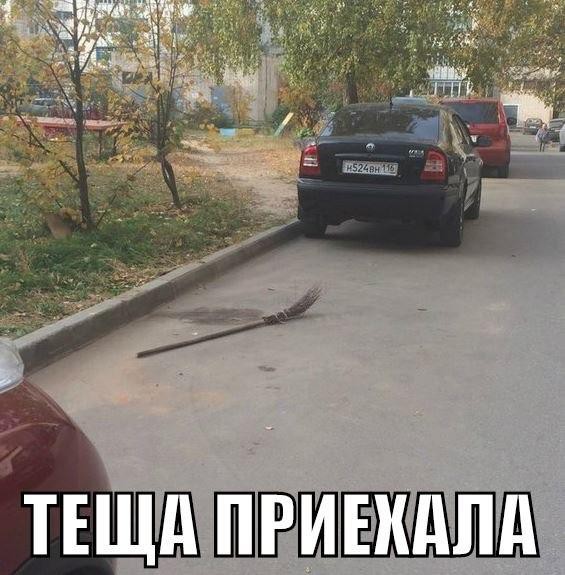 Смешные картинки с надписями прикол, юмор