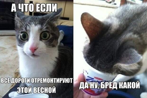 Убойный автомобильный юмор