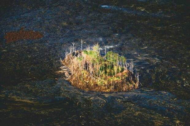 Фото: Andrew Richard Hara/Hana Hou